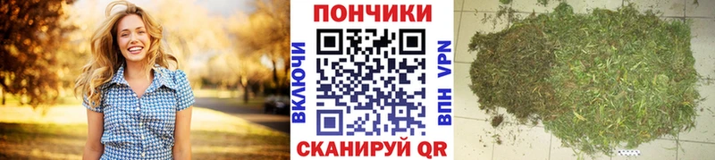 ссылка на мегу сайт  купить наркотики сайты  Артёмовск  Бошки марихуана LSD WEED 